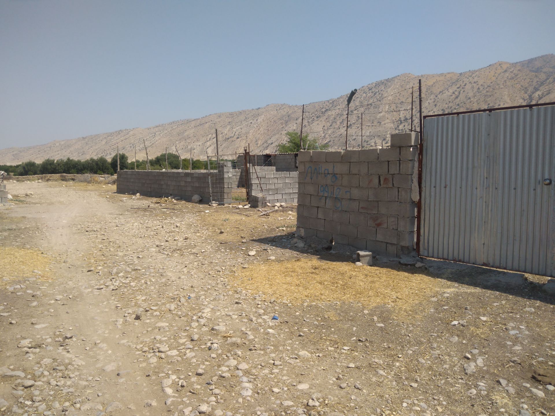 تعیین تکلیف جایگاه دام مطالبه اهالی روستای آبتوت در گچساران