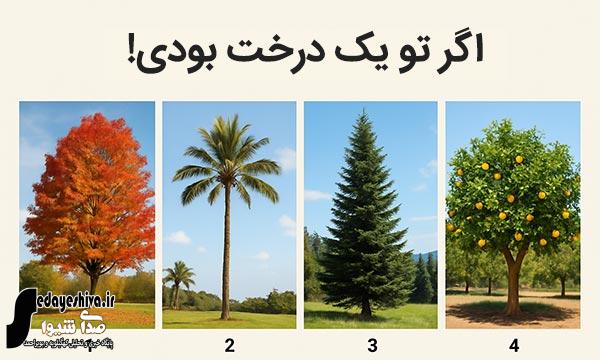 🔥🌳 سوال شخصیت شناسی : اگر تو یک درخت بودی کدام یک بودی؟ 🔥🌳 سوال شخصیت شناسی : اگر تو یک درخت بودی کدام یک بودی؟