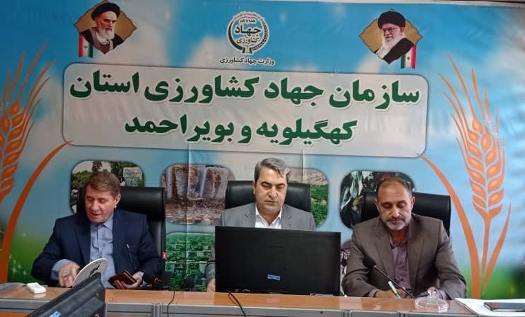 ۹۰۰هکتار از اراضی کهگیلویه و بویراحمد تعیین‌تکلیف شد